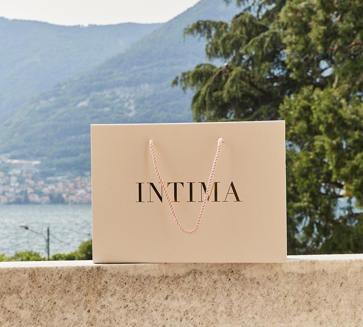 Intima